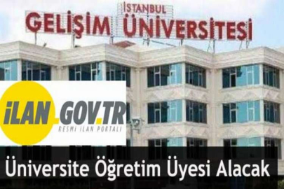 Üniversite Öğretim Üyesi Alacak