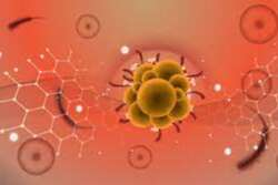MAYMUN ÇİÇEĞİ VİRÜSÜ MONKEYPOX HAKKINDA BİLMENİZ GEREKENLER