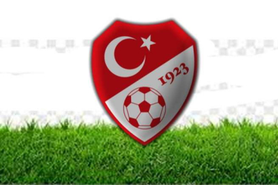 GELİŞİM LİGLERİ STATÜSÜ YAYINLANDI