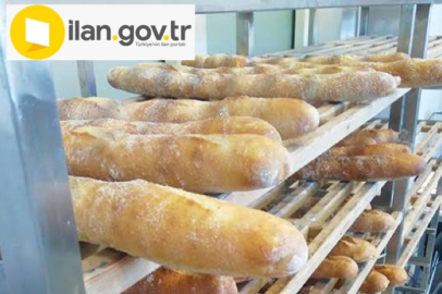 Dondurulmuş Börek Satın Alınacak