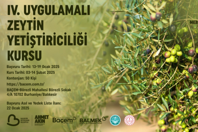BAÇEM’DE ZEYTİN YETİŞTİRİCİLİĞİ KURSU BAŞLIYOR
