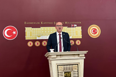 SARI: “SON 10 YILDA 180 BİN HEKTAR ORMALIK ALAN YANDI”