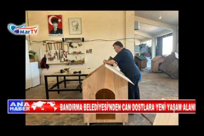 BANDIRMA BELEDİYESİ’NDEN CAN DOSTLARA YENİ YAŞAM ALANI