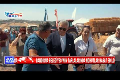 BANDIRMA BELEDİYESİ’NİN TARLALARINDA NOHUTLAR HASAT EDİLDİ
