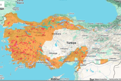 ORMAN YANGINI ALARMI: BALIKESİR’DE RİSK SEVİYESİ YÜKSELDİ