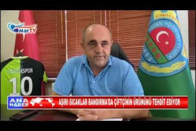 AŞIRI SICAKLAR BANDIRMA'DA ÇİFTÇİNİN ÜRÜNÜNÜ TEHDİT EDİYOR