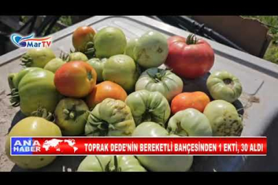 TOPRAK DEDE'NİN BEREKETLİ BAHÇESİNDEN 1 EKTİ, 30 ALDI