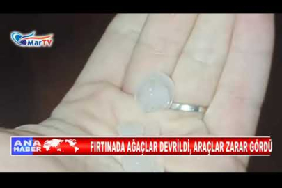 FIRTINADA AĞAÇLAR DEVRİLDİ, ARAÇLAR ZARAR GÖRDÜ