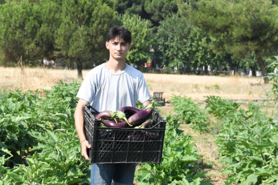 Gazi Tarım’da Hasat Zamanı