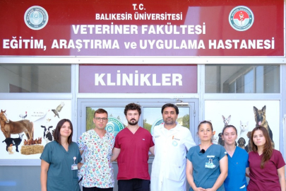 DEPREMZEDE KÖPEK “ATEŞ” BAÜN’DE TEDAVİ EDİLDİ