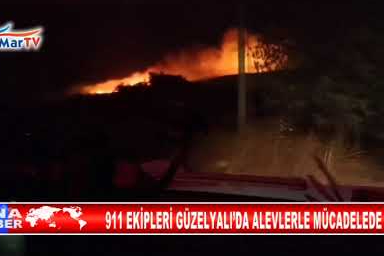911 EKİPLERİ GÜZELYALI’DA ALEVLERLE MÜCADELED