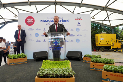 İBB'den, İstanbullu Çiftçilere 5 Yılda 70 Milyon Fide Desteği 