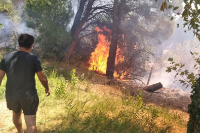 NARLI’DA ORMAN YANGINI