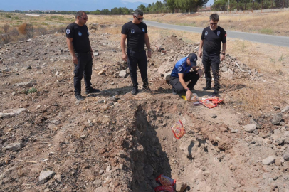 BURHANİYE’DE TARİHİ GEÇMİŞ ÜRÜNLER İMHA EDİLDİ