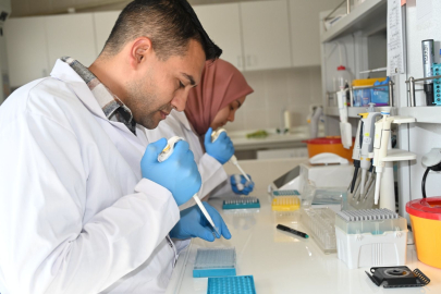 BANDIRMA KOYUNCULUK ARAŞTIRMA’DA DNA ÇALIŞMALARI