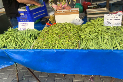 BANDIRMA PAZARINDA SONBAHAR FİYATLARI CEP YAKTI