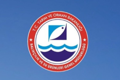 HAMSİ AVCILIĞI KOTA LİSTESİ AÇIKLANDI