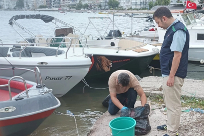 Yalova'da denizi kirleten iki belediyeye 'Çevre' cezası