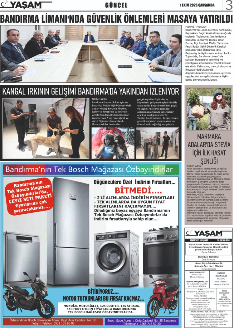 gazete
