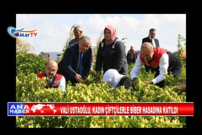 VALİ USTAOĞLU, KADIN ÇİFTÇİLERLE BİBER HASADINA KATILDI