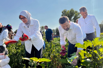BALIKESİRLİ ÜRETİCİLERE “ZİRAİ DON DESTEĞİ” MÜJDESİ