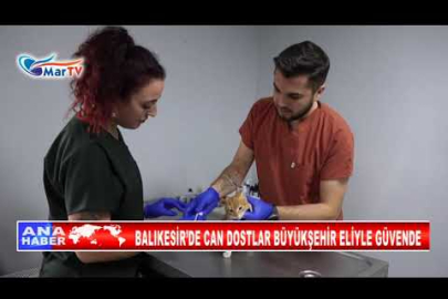 BALIKESİR’DE CAN DOSTLAR BÜYÜKŞEHİR ELİYLE GÜVENDE