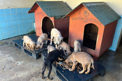 BANDIRMA BELEDİYESİ ARTIK KENDİ HAYVAN MAMASINI ÜRETİYOR