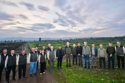 CEVİZ AĞAÇLANDIRMALARIYLA ÇİFTE KAZANÇ