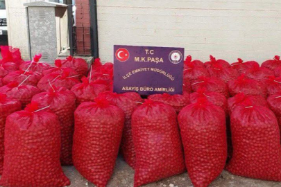 46 ÇUVAL CEVİZLE KAÇAN HIRSIZLAR YAKALANDI