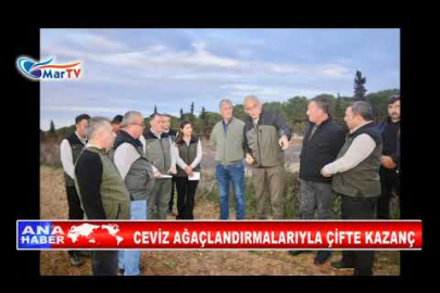 CEVİZ AĞAÇLANDIRMALARIYLA ÇİFTE KAZANÇ