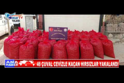 46 ÇUVAL CEVİZLE KAÇAN HIRSIZLAR YAKALANDI