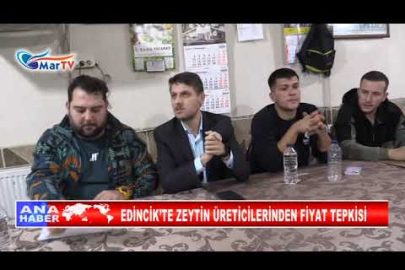 EDİNCİK’TE ZEYTİN ÜRETİCİLERİNDEN FİYAT TEPKİSİ