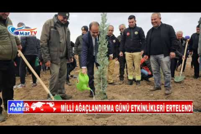 MİLLİ AĞAÇLANDIRMA GÜNÜ ETKİNLİKLERİ ERTELENDİ