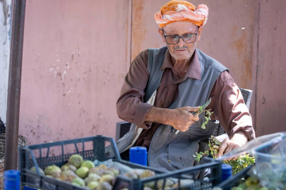 Beydağ İncirinin Katma Değeri Artıyor