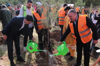 DEPSAŞ Enerji’den Makam Dağı’na  3 Bin Fidanlık Yeşil Dokunuş