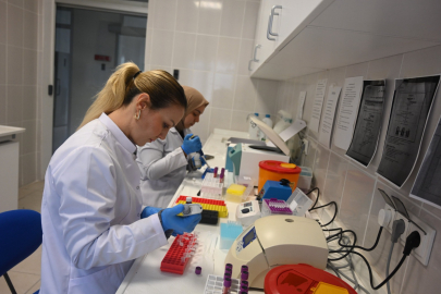 BANDIRMA KOYUNCULUK ARAŞTIRMA’DA GENETİK DİRENÇ ANALİZLERİ