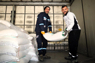 Kocaeli'den arıcılara yüzde 50 hibeli arı yemi