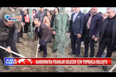 BANDIRMADA FİDANLAR GELECEK İÇİN TOPRAKLA BULUŞTU
