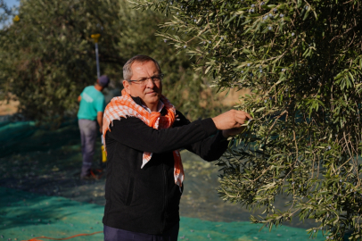 MESUT ERGİN: “DÜNYA ZEYTİN AĞACI GÜNÜ KUTLU OLSUN”