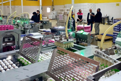 BALIKESİR SAVAŞTEPE’DE YUMURTA ÜRETİM TESİSİNDE İNCELEME