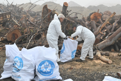 Manisa'da ihtiyaç sahiplerine odun desteği