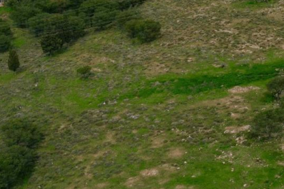 T.C. DURSUNBEY İCRA DAİRESİ 2025/103 TLMT. TAŞINMAZIN GAZETE VEYA İNTERNET HABER SİTESİ İLANI