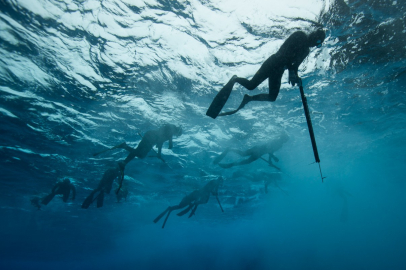 2026’DA SUALTI AVCILIĞI İÇİN AMATÖR BALIKÇI BELGESİ ZORUNLU OLACAK