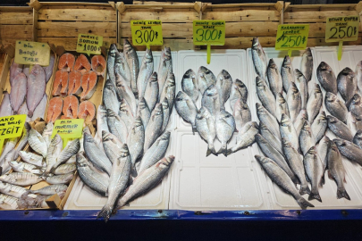 BANDIRMA BALIK HALİ’NDE BEREKETLİ SEZON BAŞLADI