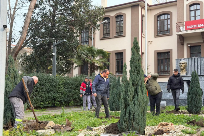 BANDIRMA HÜKÜMET KONAĞI BAHÇESİ YEŞİLLENDİRİLDİ