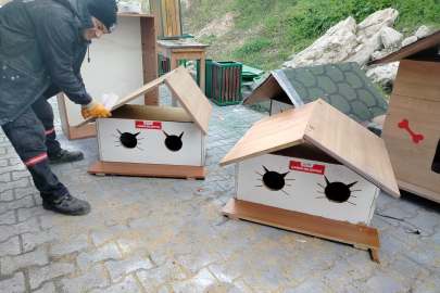 KARESİ BELEDİYESİ’NDE KEDİ EVİ ÜRETİM ÇALIŞMALARI SÜRÜYOR
