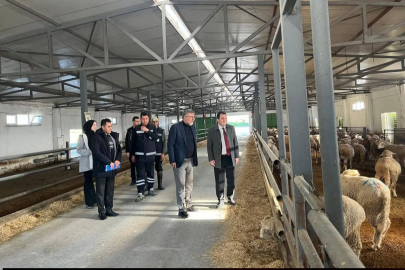 KEPSUT’TA BELEDİYE HİZMET ALANLARINDA SAHA İNCELEMESİ