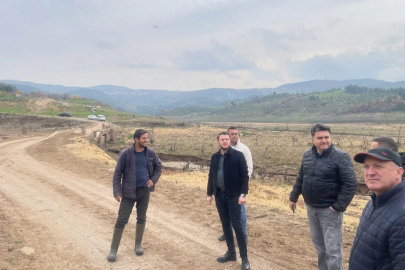 HAVRAN’DA ZEYTİNLİK YOLLARI YERİNDE İNCELENDİ