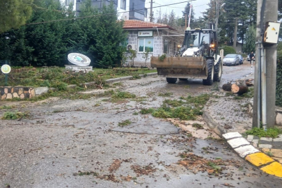 DURSUNBEY’DE FIRTINA SONRASI AĞAÇLARA HIZLI MÜDAHALE