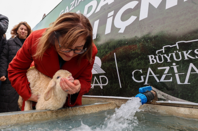 Gaziantep Büyükşehir ile Meralarda Hayvanlar Temiz Suya Kavuşuyor
